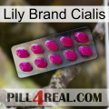 Lily Brand Cialis 09